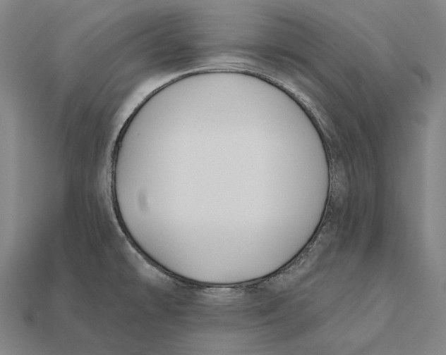 X0000112421478200909111000