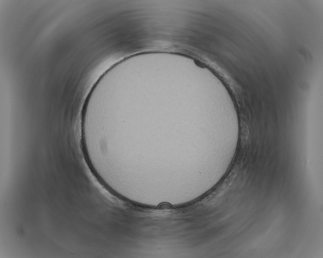 X0000112421479200909111000