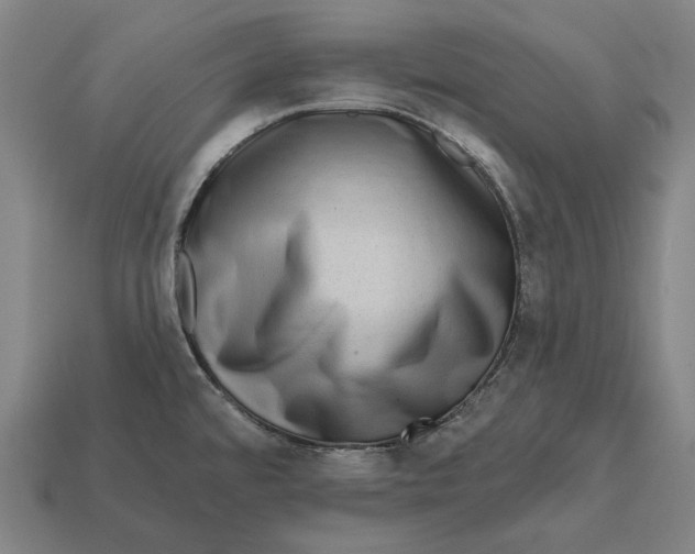 X0000112421480200909111000