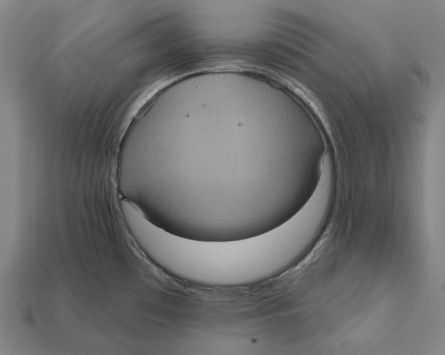 X0000112421481200909111000