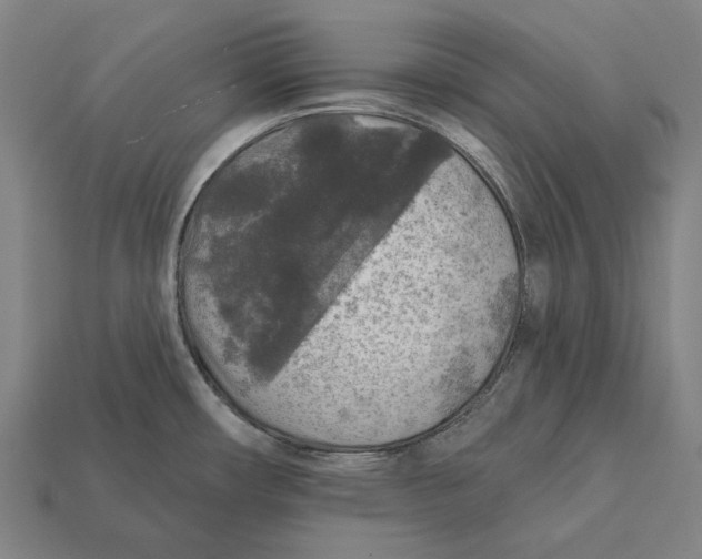 X0000112421482200909111000