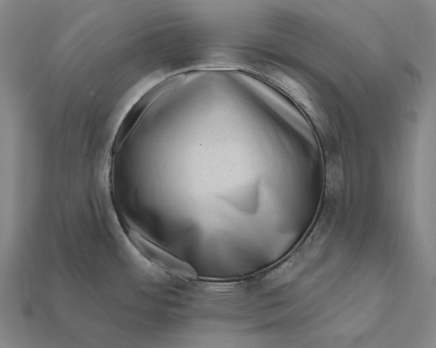 X0000112421484200909111000