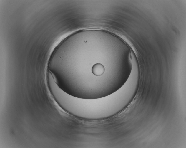 X0000112421485200909111000