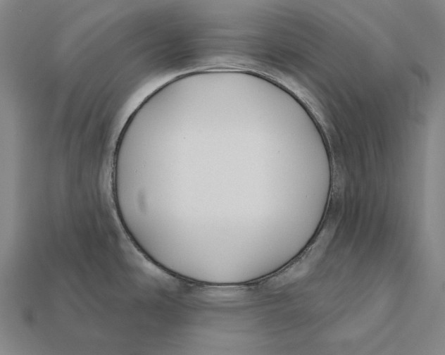 X0000112421486200909111000