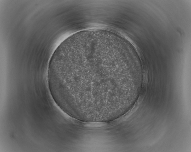 X0000112421487200909111000