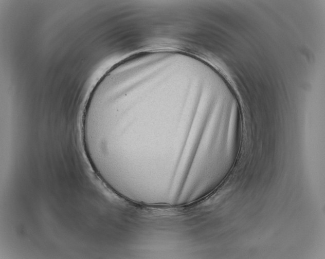 X0000112421488200909111000