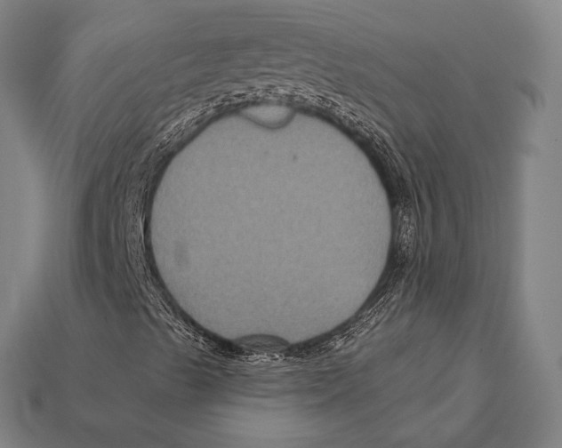 X0000112421489200909110959