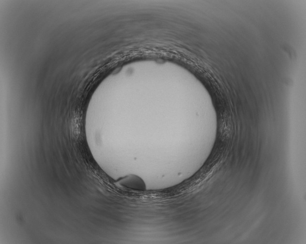 X0000112421490200909110959