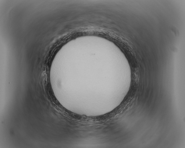 X0000112421493200909110959