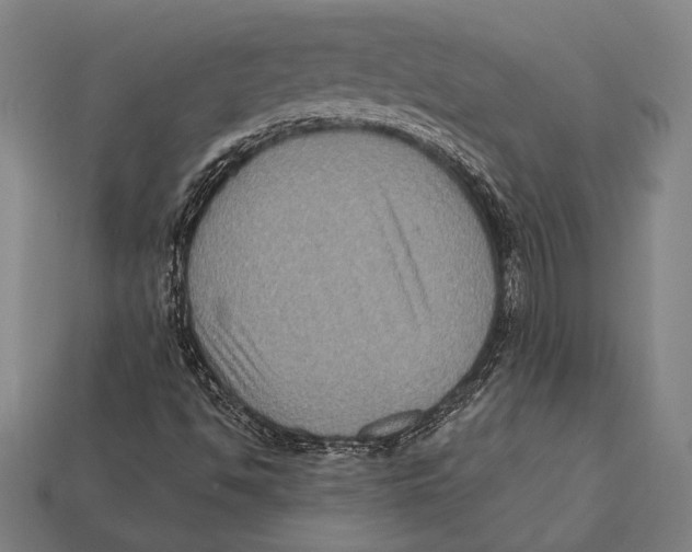 X0000112421494200909110959