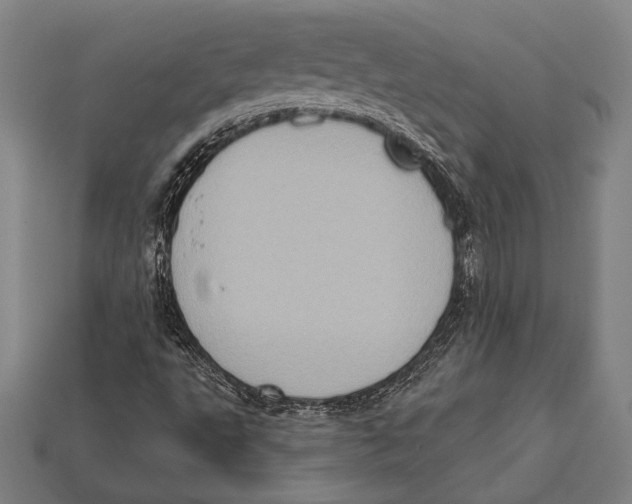 X0000112421495200909110959