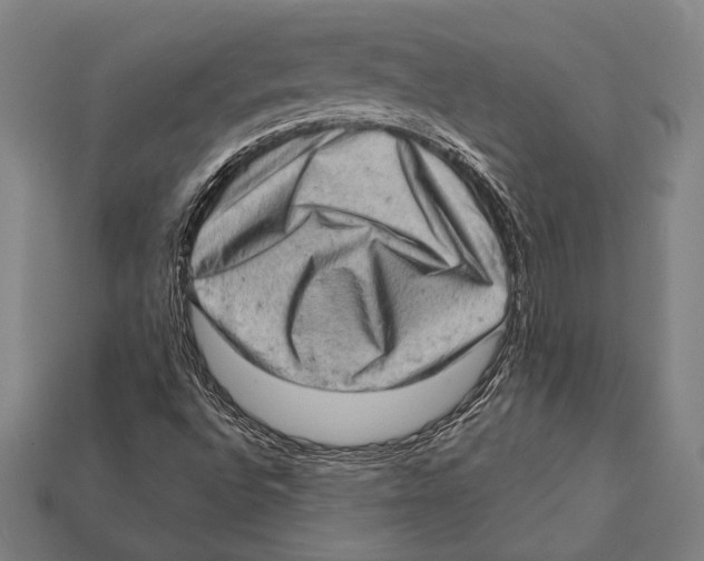 X0000112421496200909110959