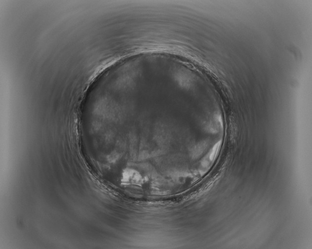 X0000112421497200909110959