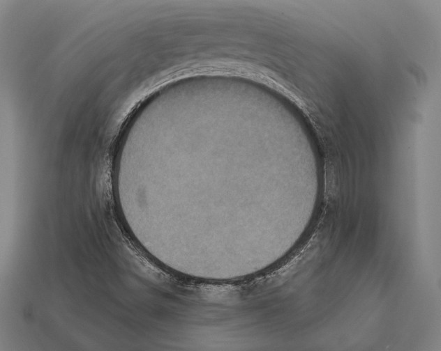 X0000112421498200909110959