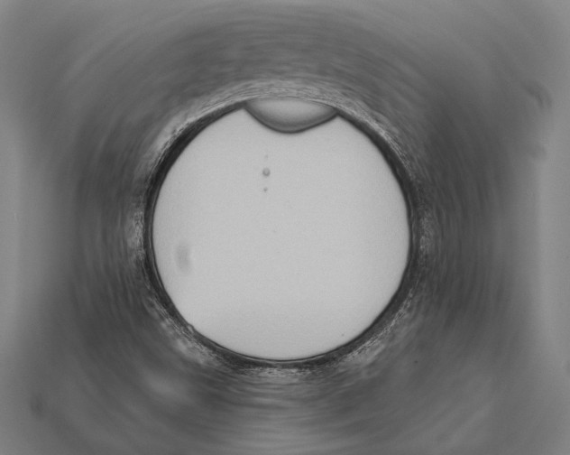 X0000112421499200909110959