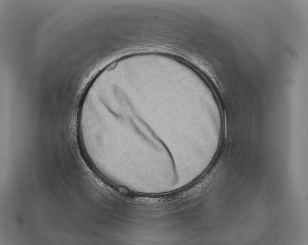 X0000112421500200909110959