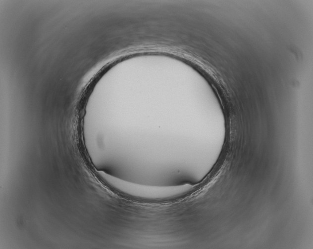 X0000112421502200909110959