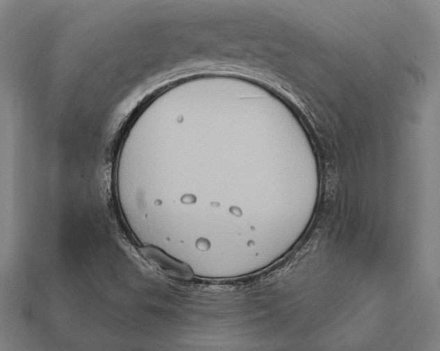 X0000112421503200909110959