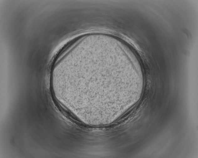 X0000112421504200909111000