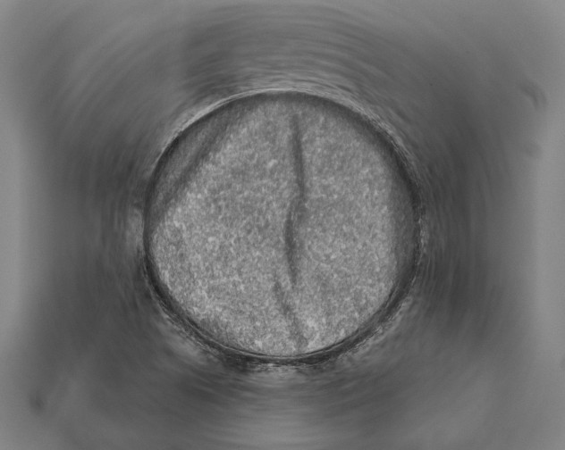 X0000112421505200909111000