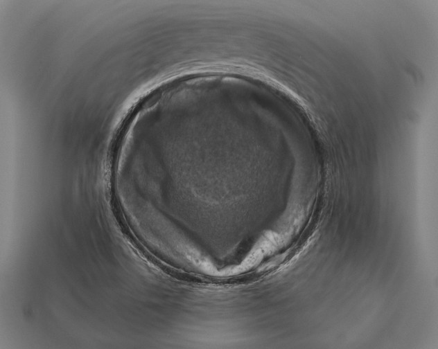 X0000112421506200909111000