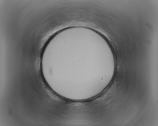 X0000112421507200909111000