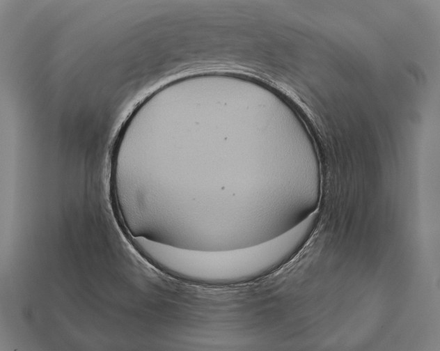 X0000112421508200909111000