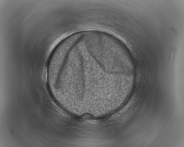 X0000112421509200909111000