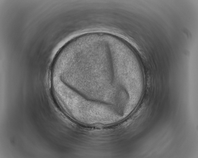 X0000112421510200909111000