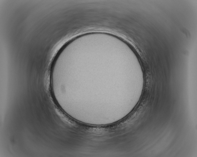 X0000112421511200909111000