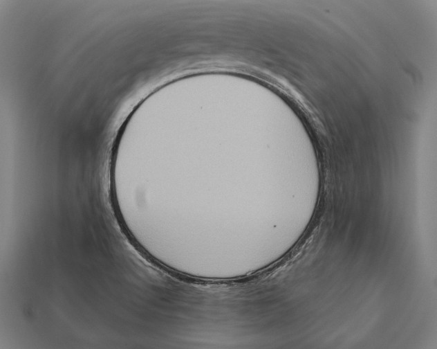 X0000112421512200909111000