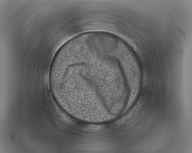 X0000112421513200909111000