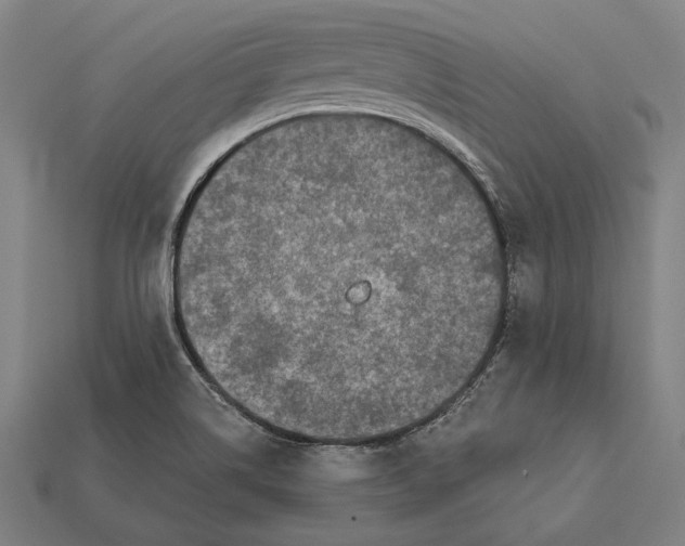 X0000112421514200909111000