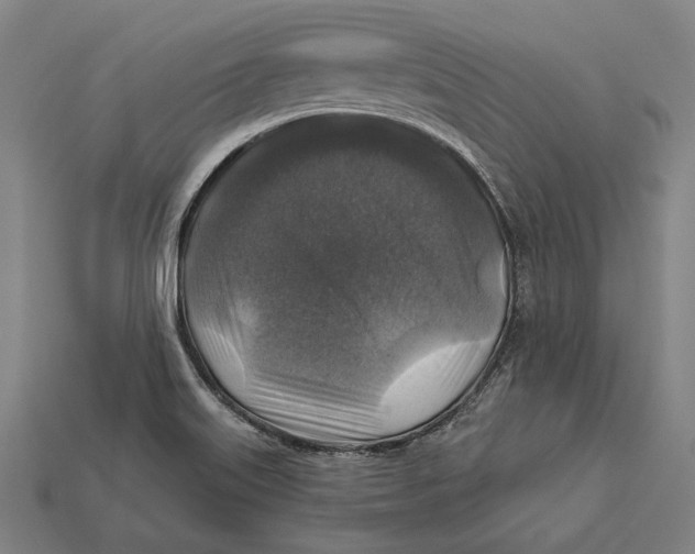 X0000112421515200909111000