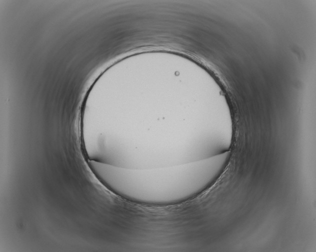 X0000112421516200909111000