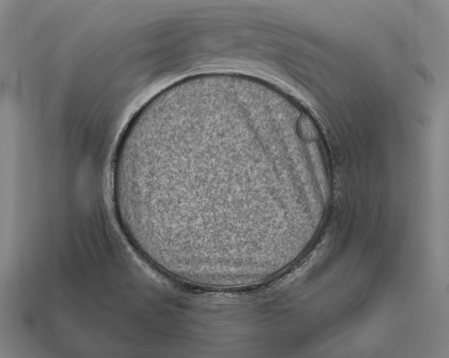 X0000112421517200909111000