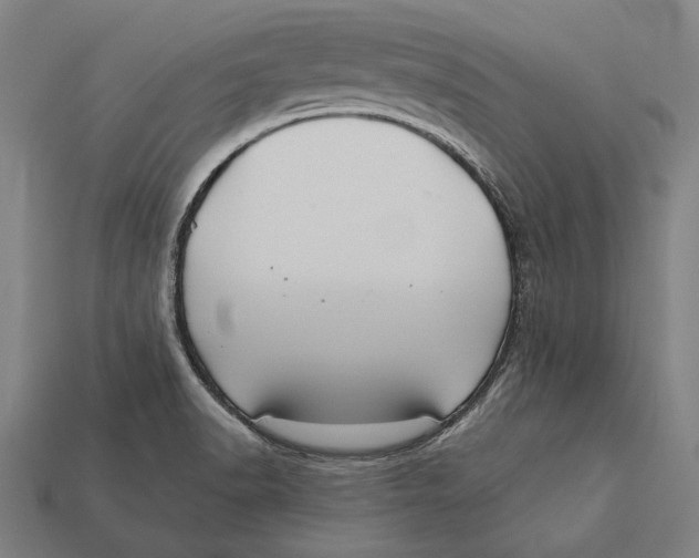 X0000112421518200909111000