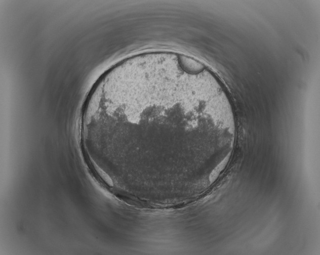 X0000112421519200909111000