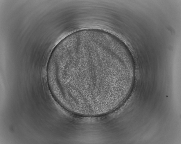 X0000112421521200909111000