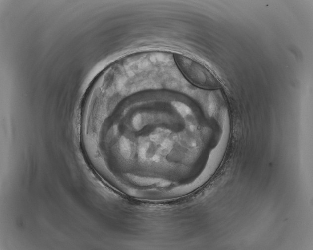 X0000112421522200909111000