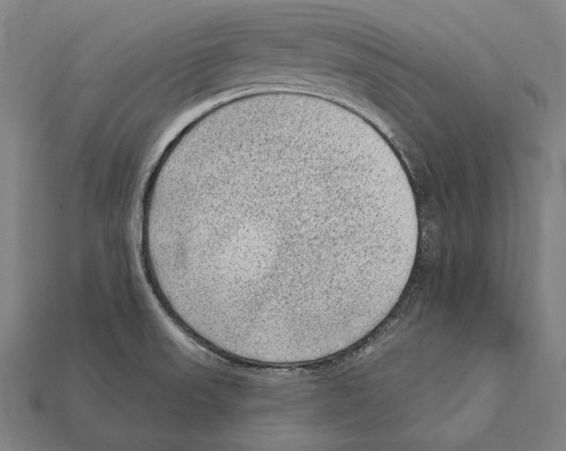 X0000112421523200909111000