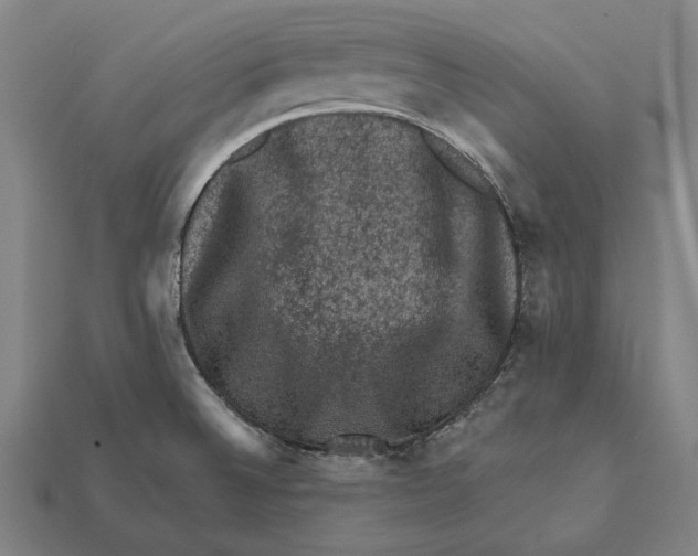 X0000112421524200909111000