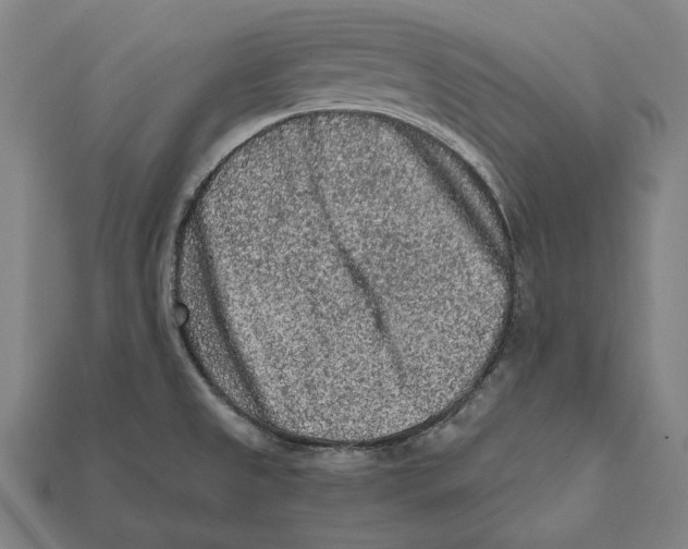 X0000112421525200909111000