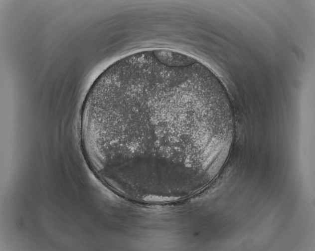 X0000112421527200909111000