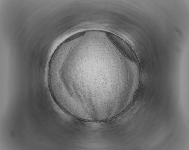 X0000112421528200909111000