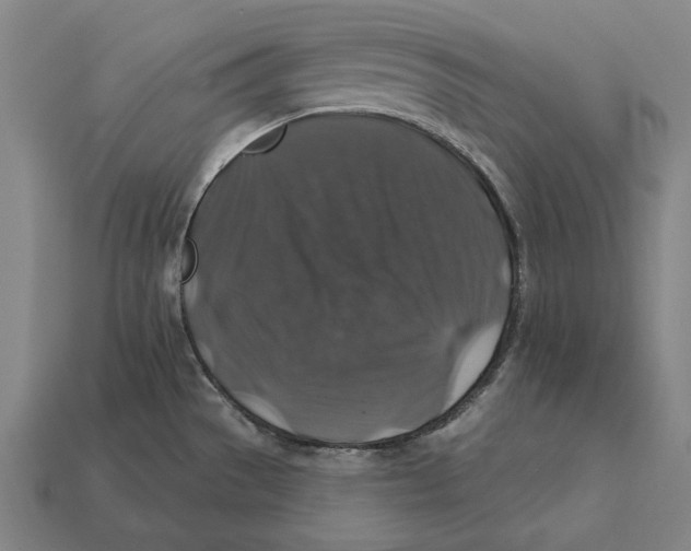 X0000112421529200909111000