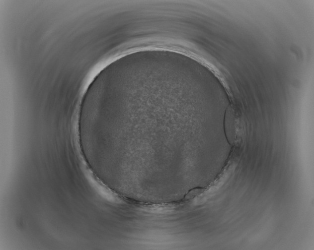 X0000112421530200909111000