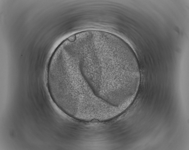 X0000112421531200909111000