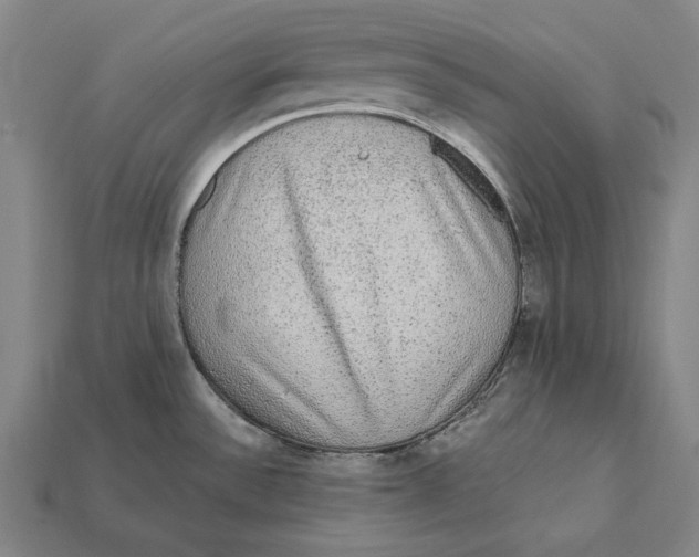 X0000112421532200909111000