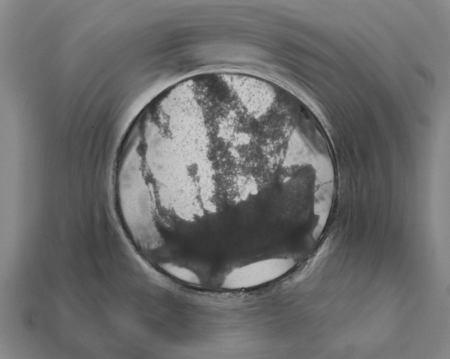 X0000112421533200909111000